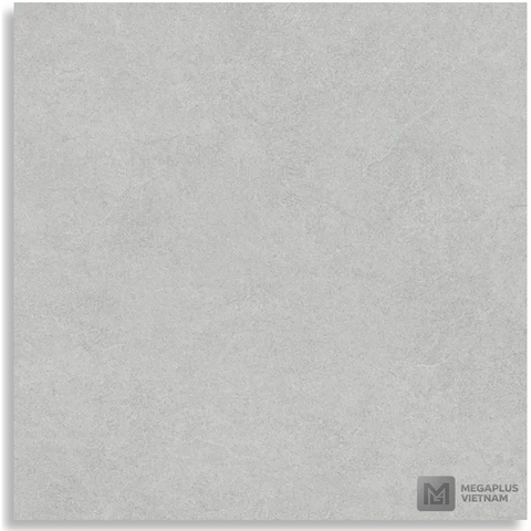 Gạch Porcelain DIG69003