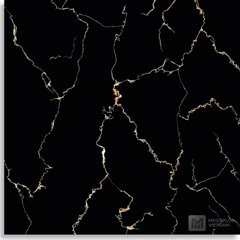 Gạch Porcelain DIG69001