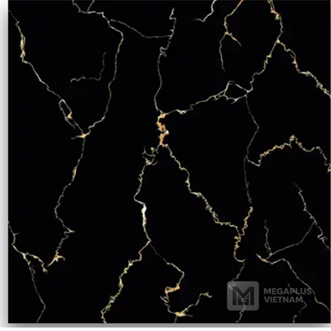 Gạch Porcelain DIG69001