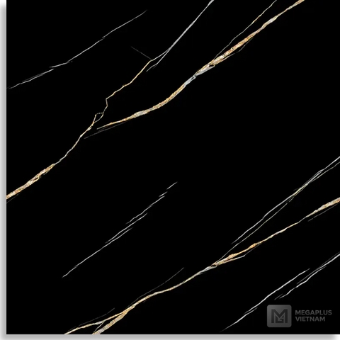 Gạch Porcelain DIG69002