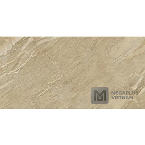 Gạch Porcelain MUX48005