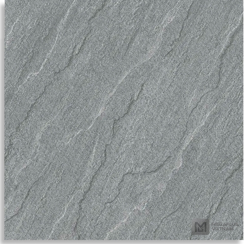 Gạch Ceramic CFV6302