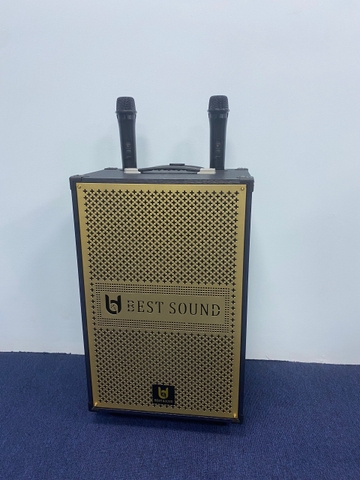 Loa kéo Bestsound BD-1280, Bass 12 inch, 30W