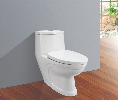 Bàn cầu Viglacera_V39