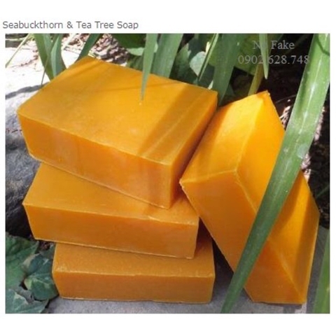 [organic] Xà phòng hữu cơ Chagrin Valley Seabuckthorn Tea Tree Soap