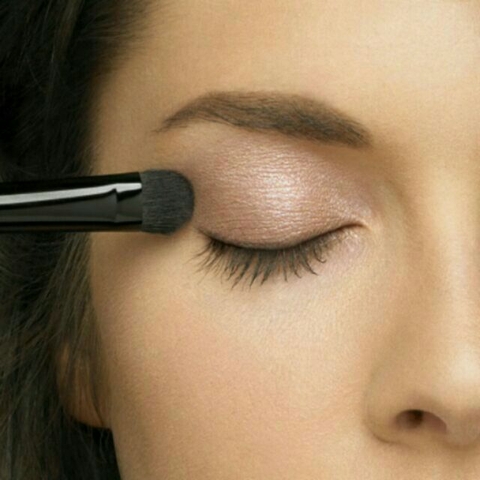 Cọ đánh phấn mắt ELF Studio Eyeshadow C Brush