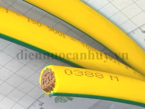 CV 1x95 tiêp địa cadisun