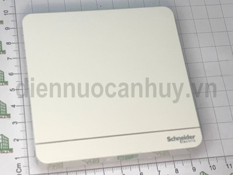 Bộ công tắc trung gian AvatarOn E8331M_WE_G19 Schneider