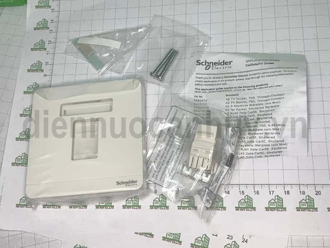 Bộ mặt kèm hạt mạng Cat6 AvatarOn E8331RJS6_WE_G19 Schneider