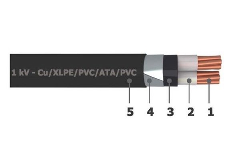 Cáp Muller 2x4