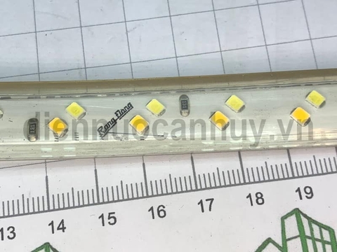 Dây led 220V Rạng đông as đổi mầu