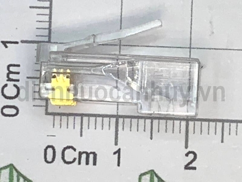 Hạt mạng cat 6 rj45 Commscope