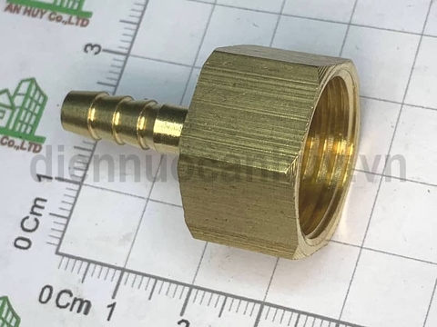 Đuôi Chuột Đồng Ren Trong 21 (1/2