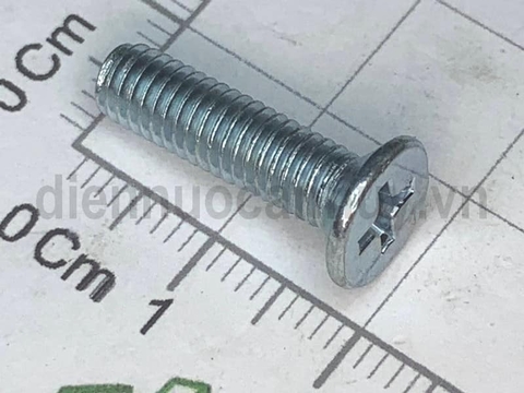 Bulong 5x20 chìm sắt mạ đầu côn bake