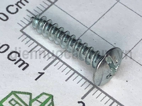 Vít gỗ đầu dù nổi 4x20