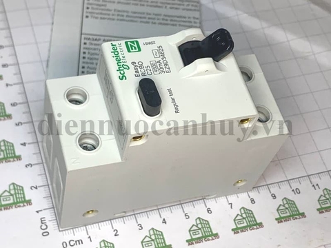 Át chống giật Schneider Easy9 RCBO 1P-N 25A C 4500A 30MA AC-type - EZ9D34625
