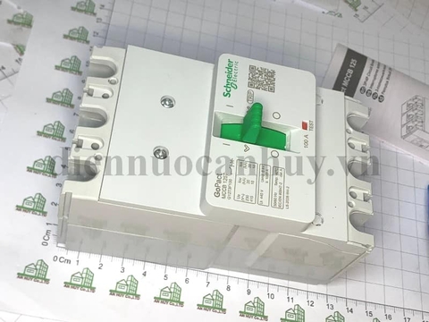 Át khối MCCB Schneider GOMCCB 125T 3P3D FIX10 KA 100A - G12T3F100