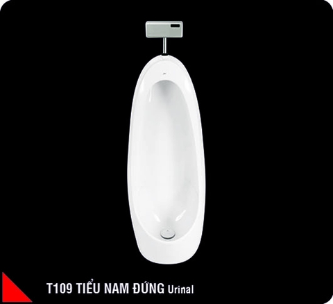 Tiểu nam -T109