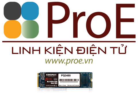 Ổ cứng  SSD 512GB M.2 PCIe Gen 3x4 Kingmax PQ3480