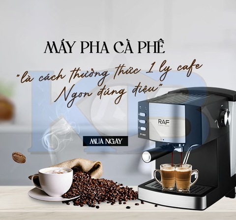 Máy pha cà phê gia đình loại nào tốt và  3 mẫu máy pha cà phê gia đình đẹp, bền, chất lượng