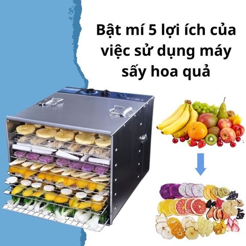 Bật mí 5 lợi ích của việc sử dụng máy sấy hoa quả