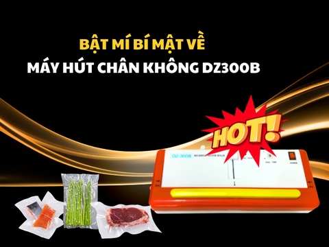 Bật Mí Bí Mật Về Máy Hút Chân Không DZ300B