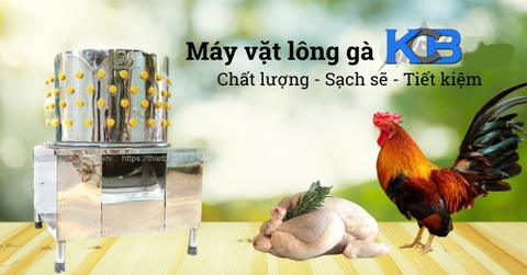 Sự cần thiết của máy vặt lông gia cầm trong cuộc sống hiện đại