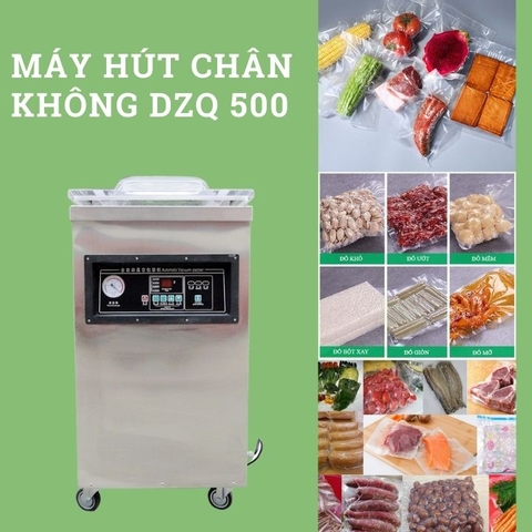 Máy hút chân không công nghiệp DZQ 500