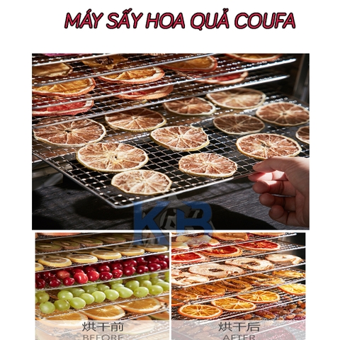 Máy sấy thực phẩm đa năng COUFA