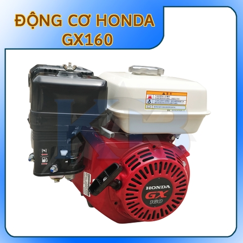 Động cơ xăng GX 160