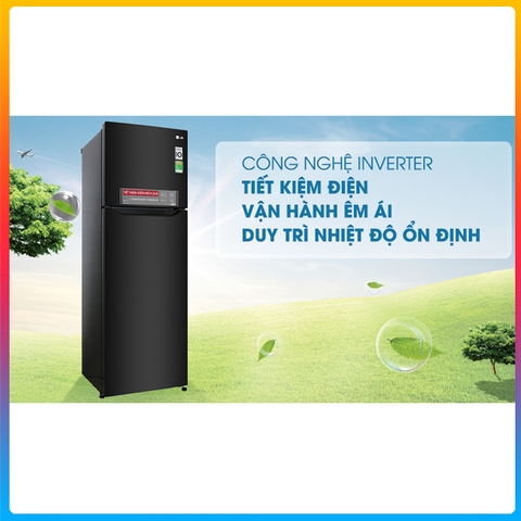 Tủ lạnh LG Inverter 255 lít GN-M255BL