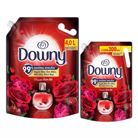 Downy Premium Parfum Passion Fabric Conditioner Pouch 300ml/4L