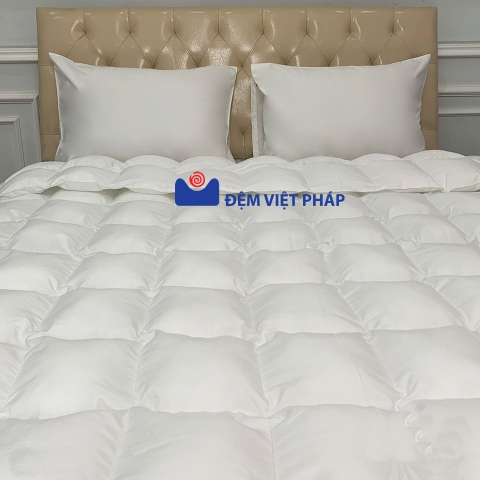 Ruột chăn bông Microfiber giả lông vũ Đệm Việt Pháp