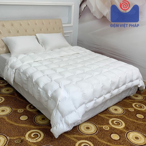 Ruột chăn bông Microfiber giả lông vũ Đệm Việt Pháp