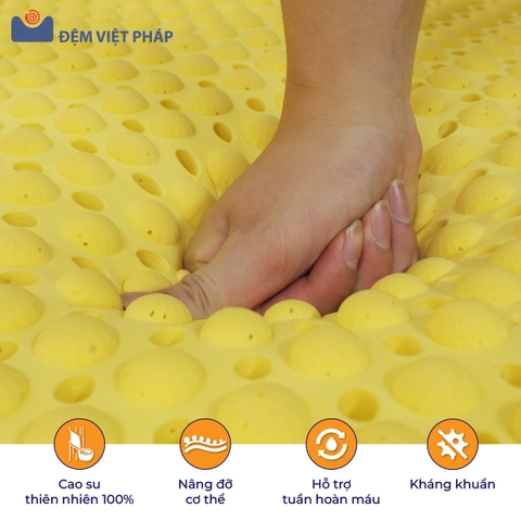 Đệm cao su 100% thiên nhiên CS01 Đệm Việt Pháp