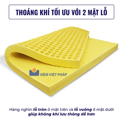 Đệm cao su 100% thiên nhiên CS01 Đệm Việt Pháp