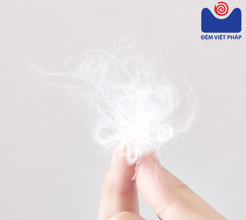 Ruột gối nằm trẻ em Microfiber 35x50 R02 Đệm Việt Pháp