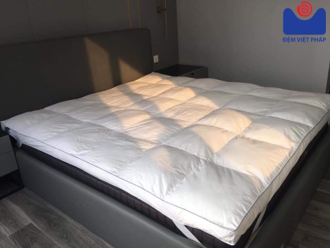 Tấm nệm bông Topper Microfiber giả lông vũ TMB01 Đệm Việt Pháp