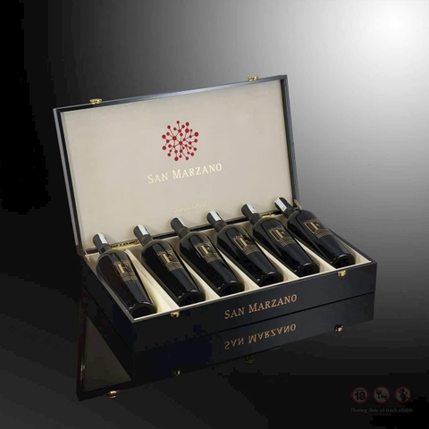 Hương vị đậm đà của Rượu vang Ý F Negroamaro Salento