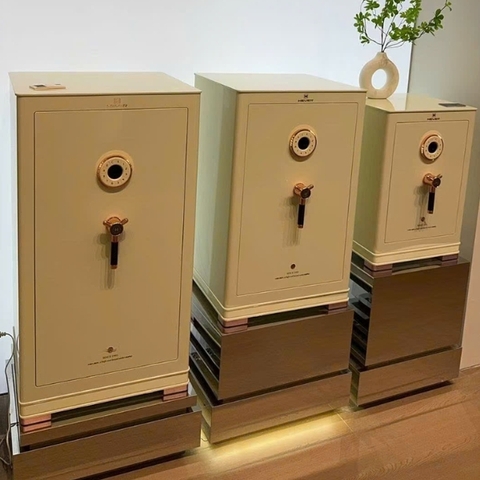 Két sắt Nhập khẩu AIPU XC80 vân tay thông minh