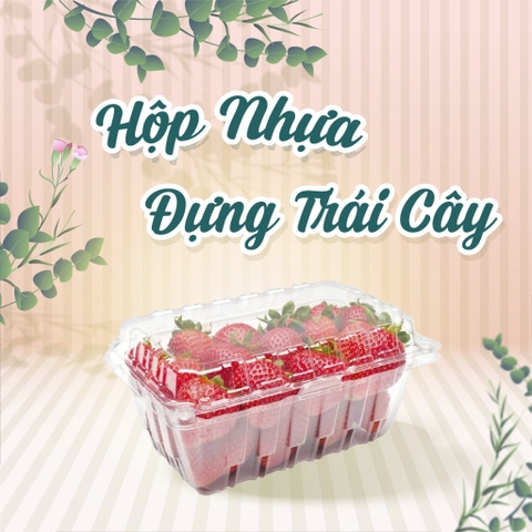 Hộp nhựa đựng trái cây