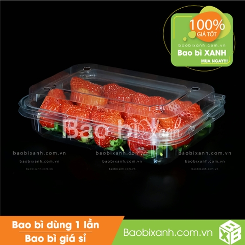 Hộp đựng trái cây 350g