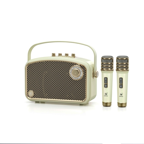 Loa Karaoke WinBridge L200