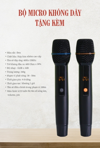 Mic loa Best Sound 10