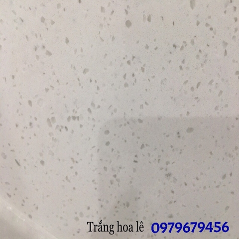 da-trang-hoa-le