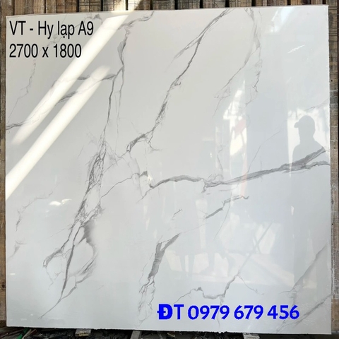da-nhan-tao-ma-002