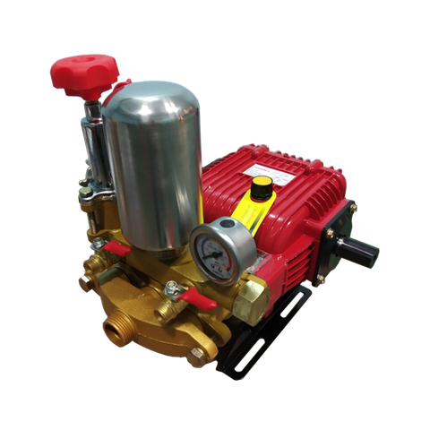 DP30
