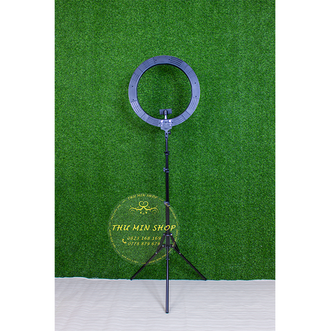 Đèn Ring Light RL 19.5 (size 49cm)