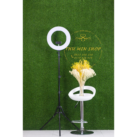 Đèn Ring Light RL-14 size 35cm