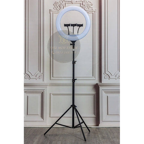 Đèn livestream 45cm giá rẻ, chính hãng Ringlight Touch